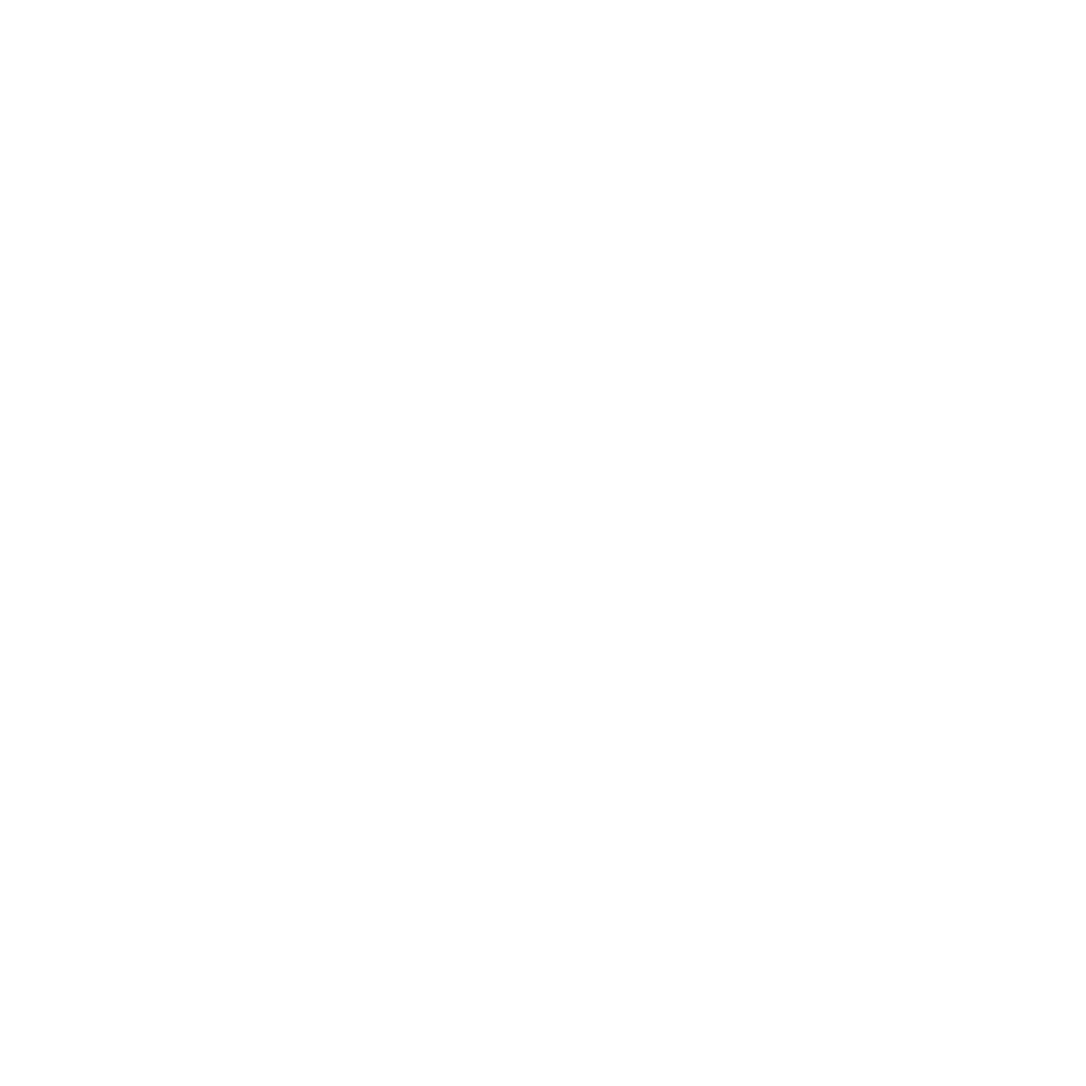 Toy Box logo for pet toys and accessories at Petra Play.